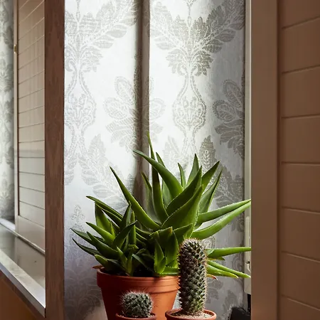 Hotel Max Brown Midtown, Part Of Sircle Collection 3*