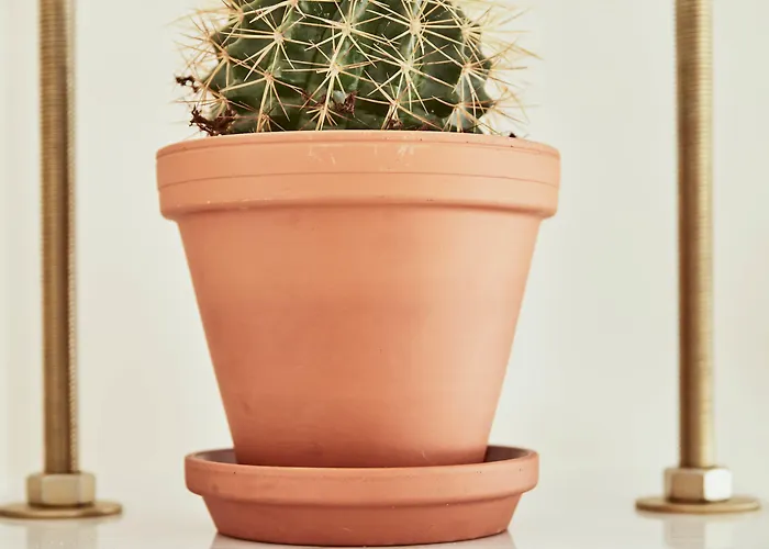 Max Brown Midtown, Part Of Sircle Collection Hotel 3*